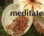 Meditate copy